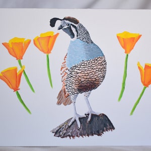 California Quail Grußkarte, State Bird and Flower, Gefaltete Blanko Grußkarte mit Umschlag, Wachtel und Floral Art