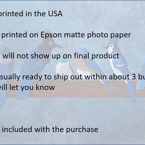May include: An art print featuring a row of colorful birds perched on a branch against a light blue background. The print is professionally printed in the USA on Epson matte photo paper. The watermark will not show up on the final product.