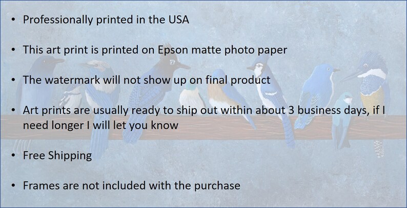 May include: An art print featuring a row of colorful birds perched on a branch against a light blue background. The print is professionally printed in the USA on Epson matte photo paper. The watermark will not show up on the final product.
