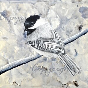 Black Capped Chickadee Art Print, Black and White, Water Color Style Background, Small Bird Fine Art, Wall Art Decoration