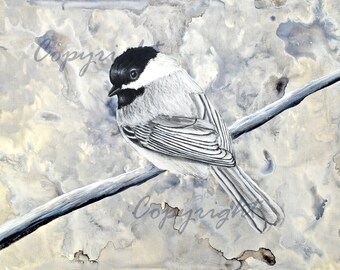 Black Capped Chickadee Art Print, Black and White, Water Color Style Background, Small Bird Fine Art, Wall Art Decoration