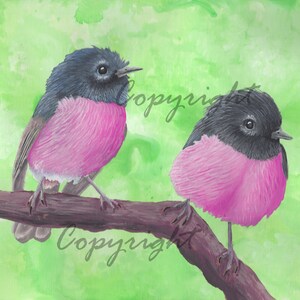 Pink Robin Art Print,  Nursery Wall Art, Kids Wall Art Decor, Bird Wall Art, For Her, For Him