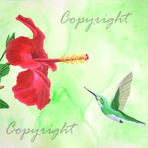 Green Hummingbird Fine Art Print, Set of 3, 2, 1, Beautiful Bird and Animal Art Print, Wall Art Deco