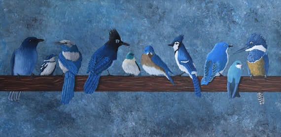 Bluebird Art Print, Mountain Bluebird, Blue Jay art Print, Stellar Jay Art Print, Blue Bird Art, Blue Colored Birds Professional Art Print