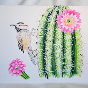 Carte de vœux d’oiseau et de fleur de l’État de l’Arizona, Cactus Wren, Saguaro Cactus Blossom, carte de vœux vierge pliée 5x7 avec enveloppe