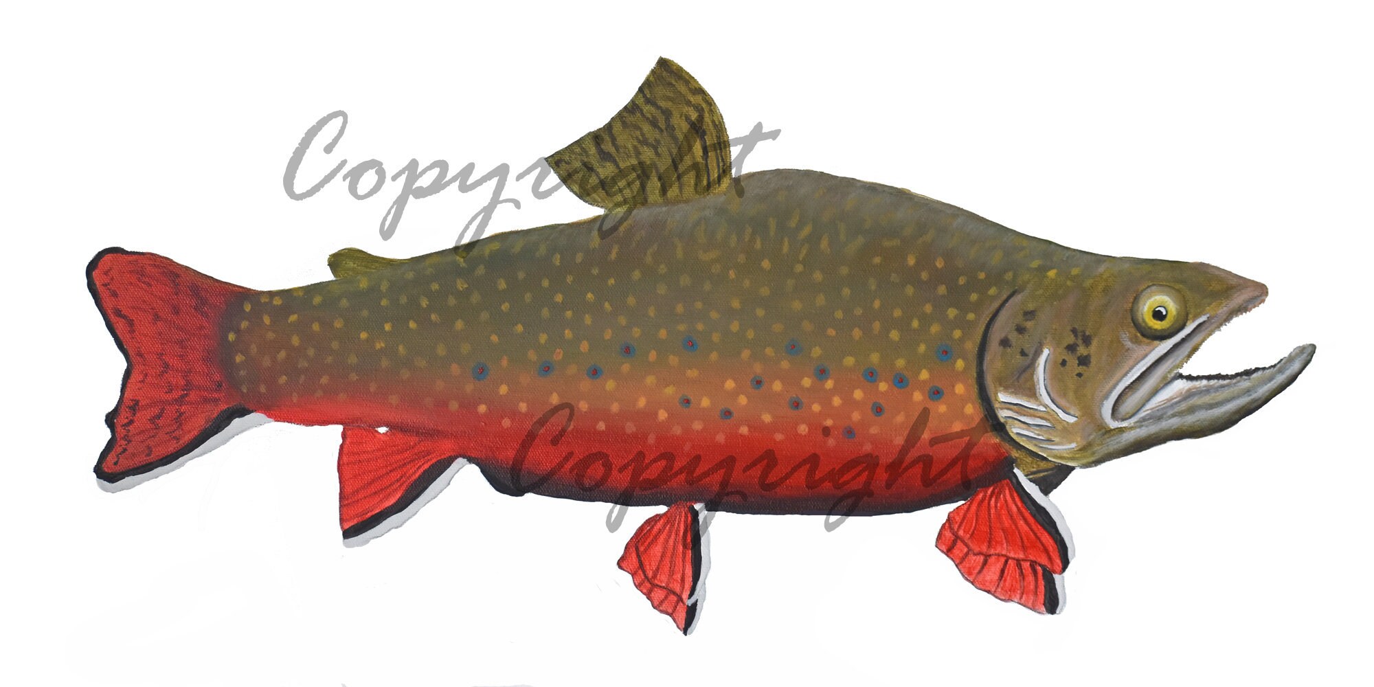 Male Brook Trout Art Print Cabin Art Brook Trout Wall Art Etsy