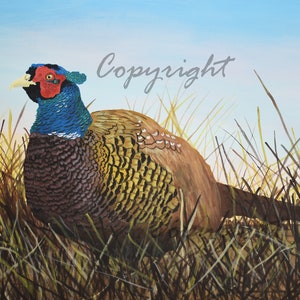 Pheasant Art Print, Pheasant Art, Bird Art Print, Nature Art Print, Animal Art Print, Wildlife Art Print, Professional Art Print