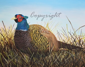 Pheasant Art Print, Pheasant Art, Bird Art Print, Nature Art Print, Animal Art Print, Wildlife Art Print, Professional Art Print