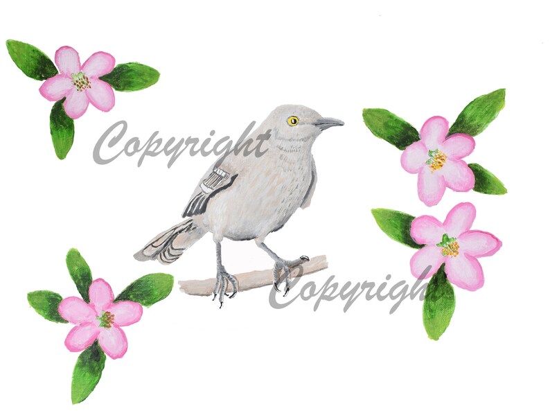 Flower Art Arkansas State Bird Art Northern Mockingbird Etsy