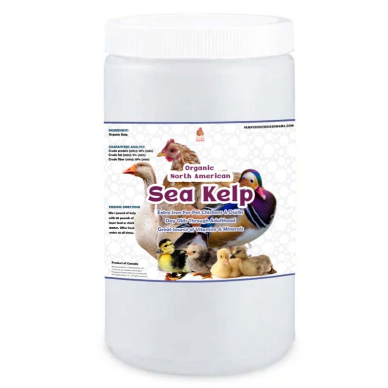 North Atlantic Kelp for Extra Vitamins, Minerals, Amino Acids for Pet