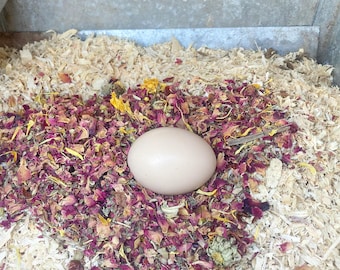 Backyard Chicken Nesting Herbs For Worms & Parasites