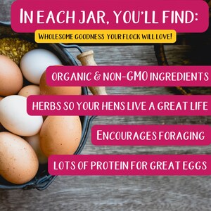 K&ouml;nnte beinhalten: Nahaufnahme eines Metalleimers gef&uuml;llt mit braunen und wei&szlig;en Eiern. Der Eimer steht auf einer Holzoberfl&auml;che. Der Text "IN EACH JAR, YOU'LL FIND: WHOLESOME GOODNESS YOUR FLOCK WILL LOVE!" befindet sich oben im Bild. Unter dem Text befinden sich vier rosa Rechtecke mit folgendem Text: "ORGANIC & NON-GMO INGREDIENTS", "HERBS SO YOUR HENS LIVE A GREAT LIFE", "ENCOURAGES FORAGING", und "LOTS OF PROTEIN FOR GREAT EGGS".