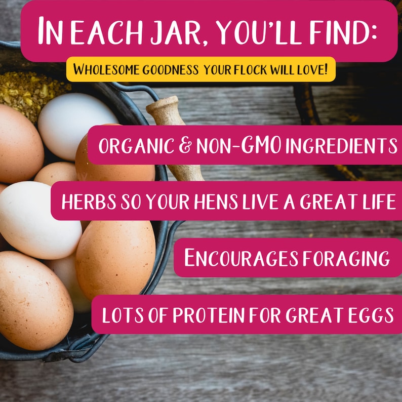 K&ouml;nnte beinhalten: Nahaufnahme eines Metalleimers gef&uuml;llt mit braunen und wei&szlig;en Eiern. Der Eimer steht auf einer Holzoberfl&auml;che. Der Text "IN EACH JAR, YOU'LL FIND: WHOLESOME GOODNESS YOUR FLOCK WILL LOVE!" befindet sich oben im Bild. Unter dem Text befinden sich vier rosa Rechtecke mit folgendem Text: "ORGANIC & NON-GMO INGREDIENTS", "HERBS SO YOUR HENS LIVE A GREAT LIFE", "ENCOURAGES FORAGING", und "LOTS OF PROTEIN FOR GREAT EGGS".