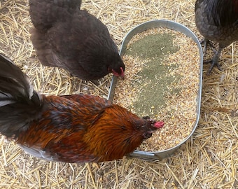 North American Kelp for Chickens & Duck Feed: Chicken Vitamins | Chicken Supplements | Vitamins for Chickens