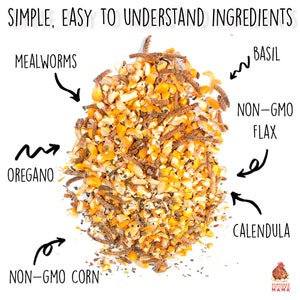 Poultry Queen Mealworm, Non-GMO Corn, Non-GMO Flax, & Herb Treat For Pet Chickens