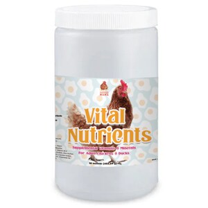 K&ouml;nnte beinhalten: Ein wei&szlig;er Plastikbeh&auml;lter mit einem Etikett, auf dem "Vital Nutrients" in gelben und rosafarbenen Buchstaben steht. Das Etikett zeigt auch "Erg&auml;nzende Vitamine und Mineralien f&uuml;r erwachsene H&uuml;hner und Enten" und "16 Unzen (453,39 g)". Das Etikett zeigt ein Cartoon-Huhn.