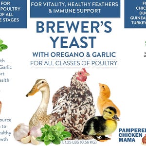 Levadura de cerveza con orégano y ajo, niacina para patos y pollos, probiótico para pollos, con B12, B6 y aminoácidos. imagen 3