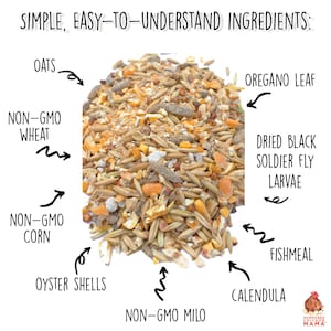 16% Premium Layer Feed With Black Soldier Fly Larvae, Fishmeal, & Herbs {Soy Free + High Protein}