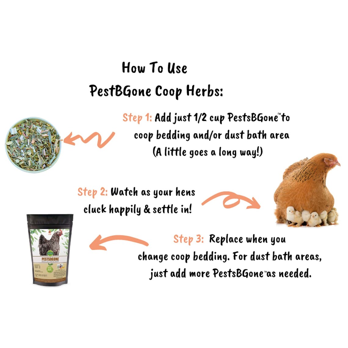 Backyard Chickens Coop & Nesting Herbs to Prevent Parasites Etsy