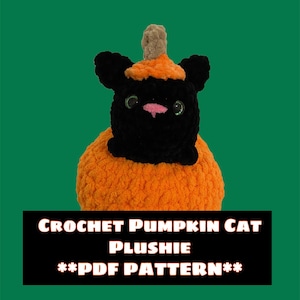 Crochet Pumpkin Cat Plushie **DIGTAL PDF PATTERN**