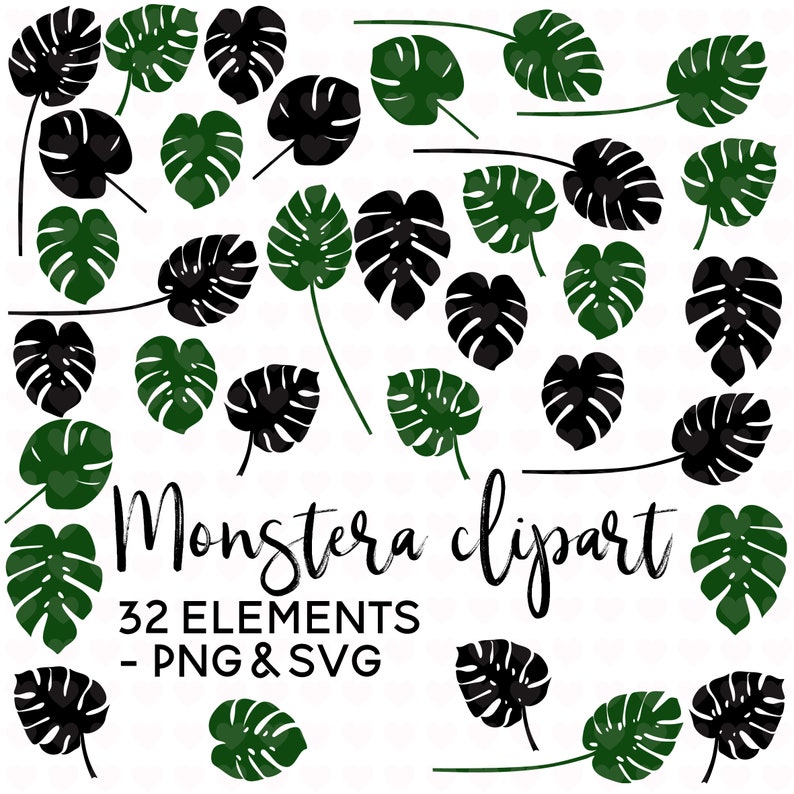 Download Monstera SVG File Botanical Leaves PNG File Monstera Leaf ...