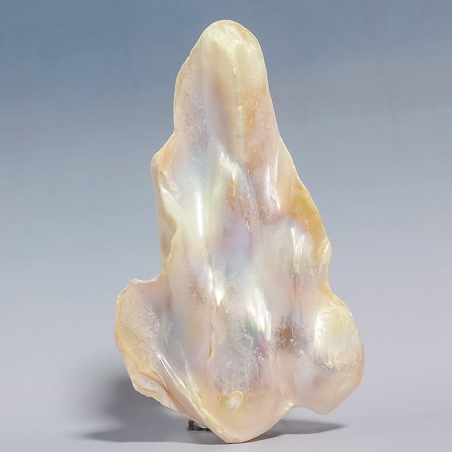 93 Carat Natural Biwa Pearl Loose Gemstone Cabochon 36X61X9 MM Etsy