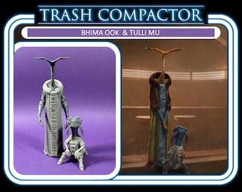 Tulli Mu & Bhima Ook (Jedi Survivor) - 3D Printed Vintage/Retro Style Star Wars Custom Resin Model Figure Kit
