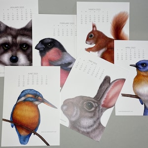 Calendrier 2025 Oiseaux et animaux | Cartes calendrier | Oeuvre d'art originale | Illustration au crayon | Oiseaux | Hiboux | Animaux | 2025 | la faune