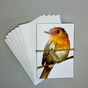 Original little bird notecard set | watercolor illustration | blank notecards | notecards with envelopes