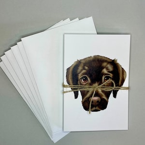 Lot de deux cartes pour correspondance | Cartes de correspondance | Chats | Chiens | Animaux | Oiseaux | Animaux de compagnie | Faune