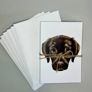 pour chiens | Cartes de correspondance vierges | Oeuvre d'art imprimée originale | Illustration au crayon | Cartes de correspondance avec enveloppes