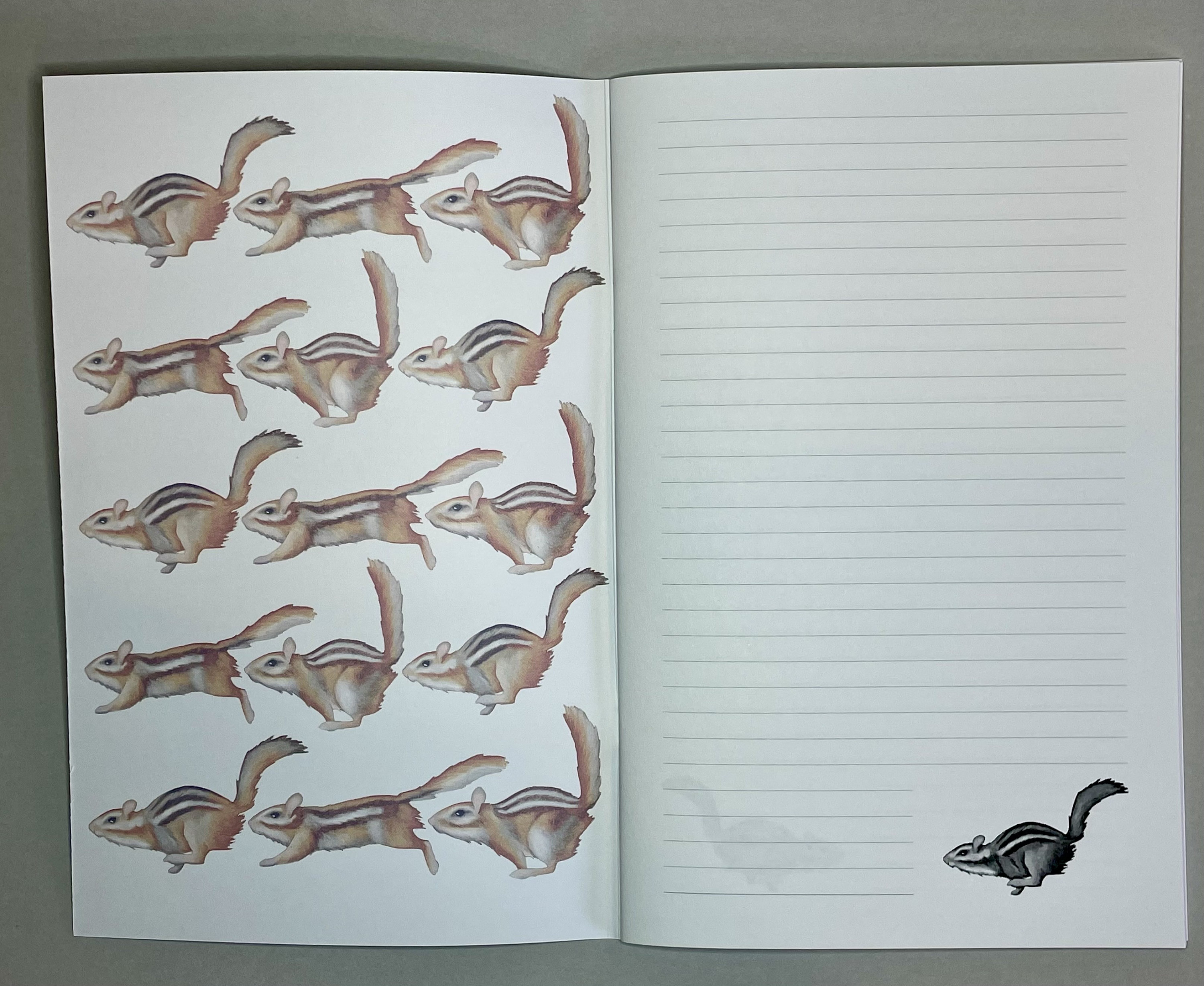 Chipmunk Stationery Gift Set | Notebook | Notepad | Notecards ...