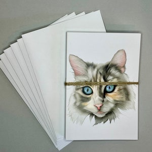 Cat Notecards | Blank Notecards | Original Printed Artwork | Pencil Illustration | Notecards with Envelopes