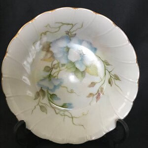 Vintage hand painted porcelain dish