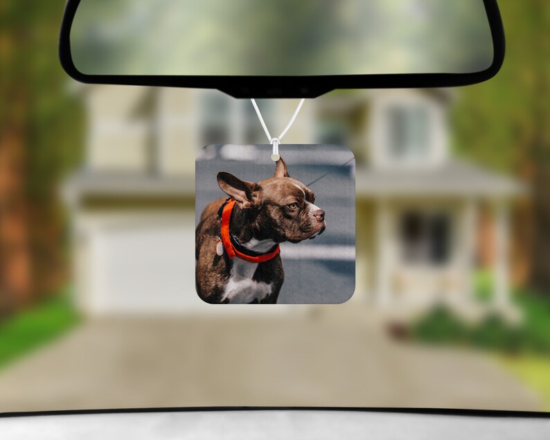 Personalized Air Fresheners Set of 2 Custom Car Etsy