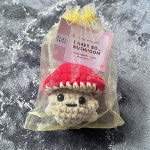Emotional Support Roomie Handmade Crochet Plushie, Gift Bag, Pop Up Head Crochet Mushroom Including a FREE SELF CARE Downloadable Journal