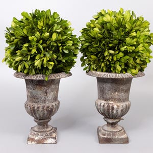 Antique French Petite Cast Iron Urns Planters - a Pair