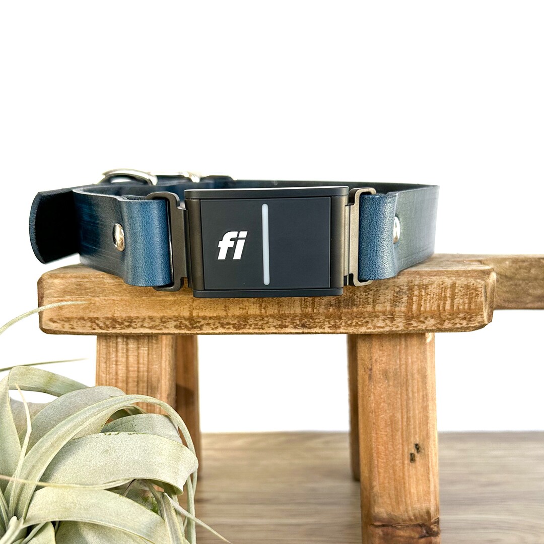Fi Series 3 Compatible Dog Collar 1 Leather Fi Dog Collar Fi Series 3