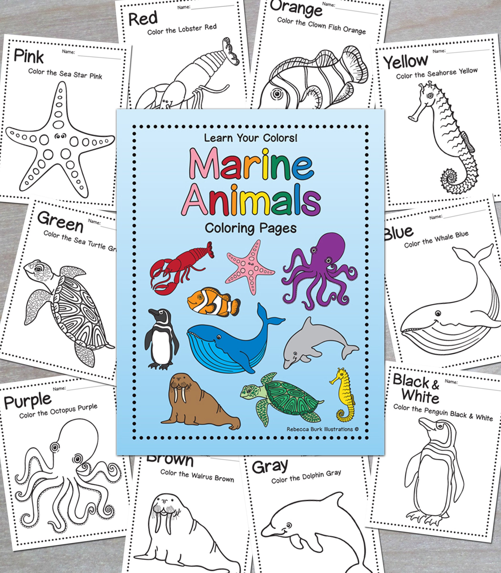 Marine Animals - Etsy