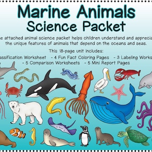 Marine Animals Science Packet