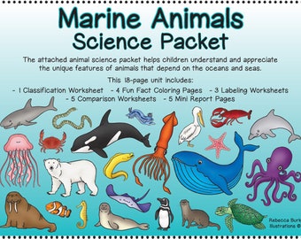 Marine Animals Science Packet - Etsy Marine Animals Science Packet - Etsy