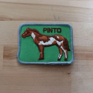 Può includere: Toppa ricamata raffigurante un cavallo pinto marrone e bianco su sfondo verde. La parola "PINTO" è ricamata in marrone sopra il cavallo. La toppa ha un bordo grigio ed è rettangolare.