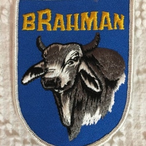 Parche bordado de vaca Brahman, estilo vintage retro, excelente artículo de colección Brahman.