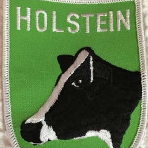 May include: Green and white embroidered patch with the word "HOLSTEIN" in white lettering and a black and white cow head with a white stripe down the face.