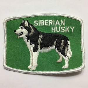May include: Embroidered patch with a green background and white border. The patch features a black and white Siberian Husky dog with the text "SIBERIAN HUSKY" in white.