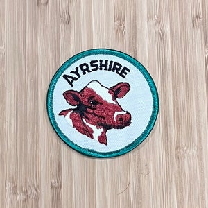 Patch AYRSHIRE Vintage Raro Retro L@@K GADO Rancher