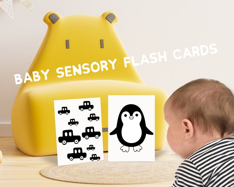 64 PRINTABLE High Contrast Baby Sensory Flash Cards Baby Etsy Canada