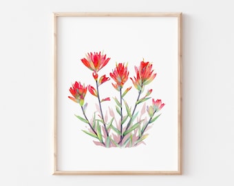 Indian Paintbrush - Watercolor Painting 8x8, 8x10, 5x7, 11x14 Art Print