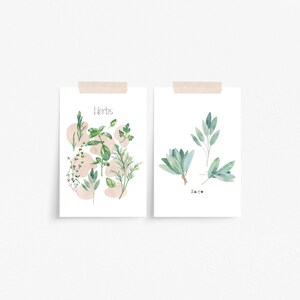 Herbs Postcard Set of 2