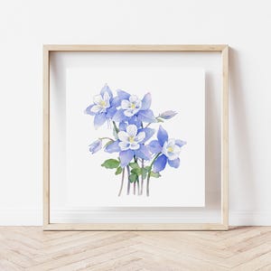 Columbine - 8x8, 8x10, 11x14 Giclee Print of watercolor painting